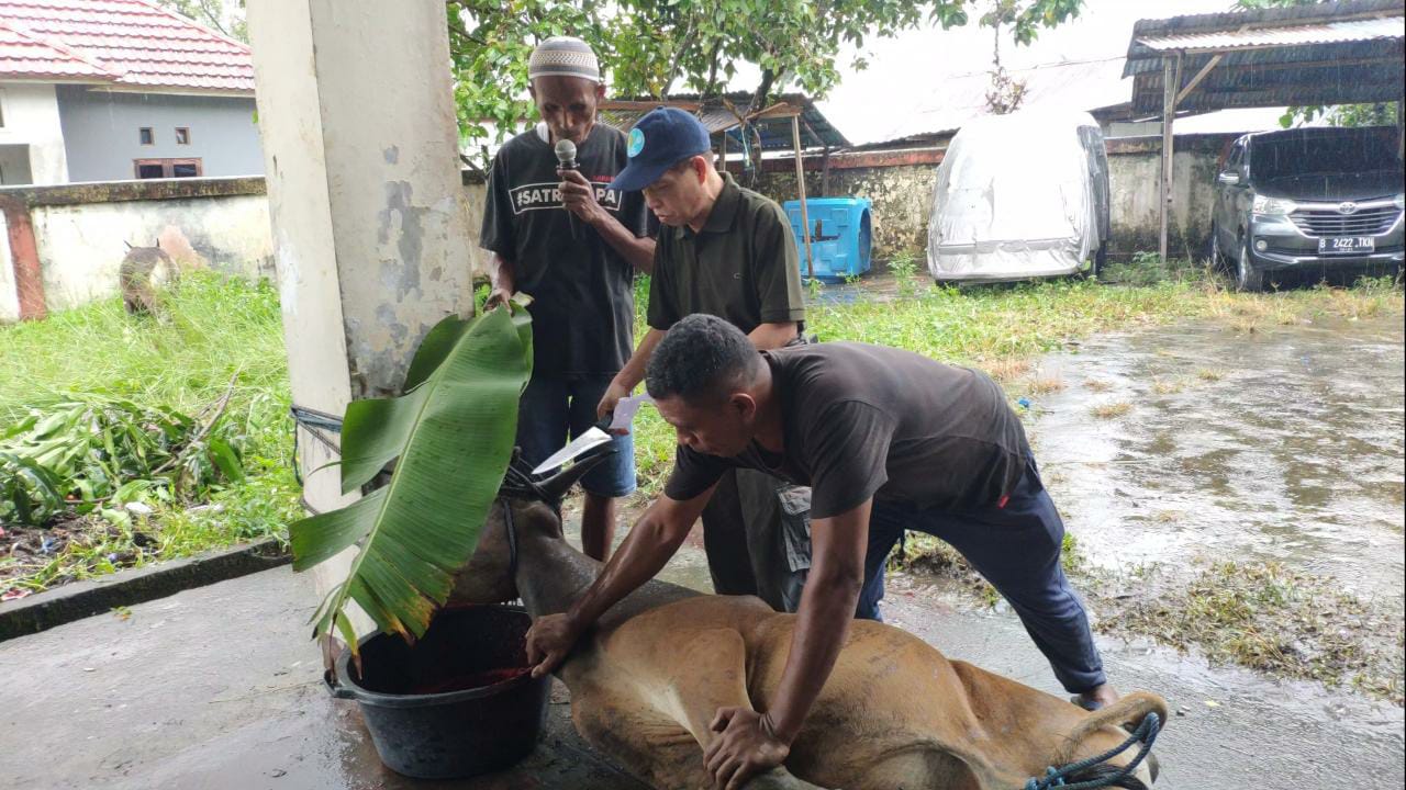 WhatsApp Image 2022 07 11 at 4.16.14 PM